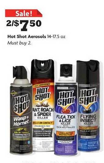 Family Dollar Hot Shot Aerosols offer