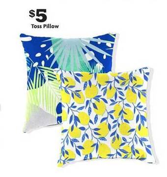 Family Dollar Toss Pillow offer
