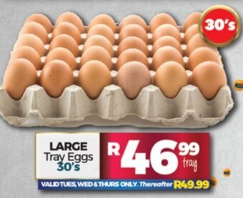 Large Tray Eggs 30's