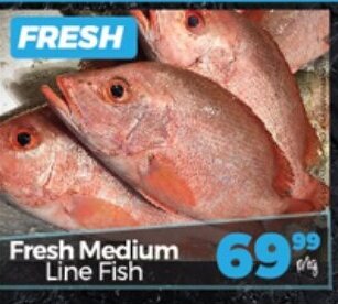 Take 'n Pay Fresh Medium Line Fish offer