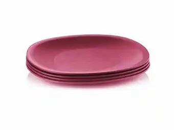 Tupperware Legacy plates (4) offer