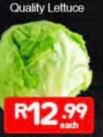 Quality Lettuce