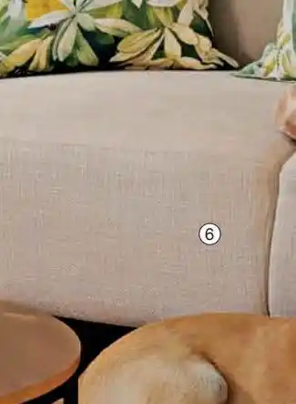 3 seater cameo couch