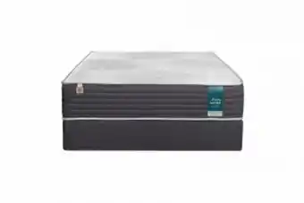 Dial a Bed Forty winks megasleep medium king bed set standard length offer