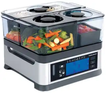 Faithful to Nature Morphy richards food steamer 'intellisteam' offer