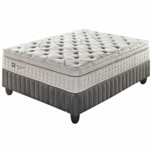 Sealy celebration plush queen bed set standard length offer at Dial a Bed