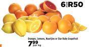Food Lover's Market Oranges, Lemons, Naartjies Or Star Ruby Grapefruit-Per kg offer