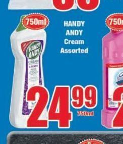Boxer Handy andy cleaners offer