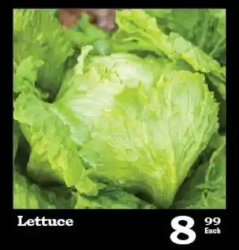 Oxford Freshmarket Lettuce offer
