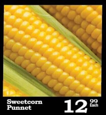 Oxford Freshmarket Sweet Corn Punnet offer