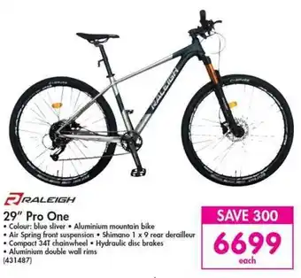 Raleigh Pro One 29"