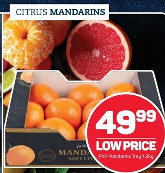 Pick n Pay PnP Mandarins Tray 1,2kg offer