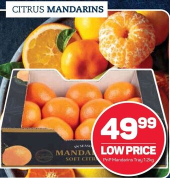 Pick n Pay PnP Mandarins Tray 1,2kg offer