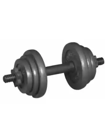 Ultrafit 10kg dumbbells