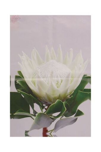 Sheet Street Wall art offer