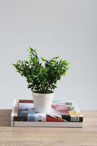 Sheet Street Potted faux plant offer