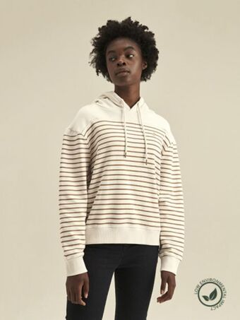 Polo Stripe hoodie offer