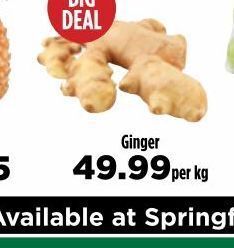 Ginger