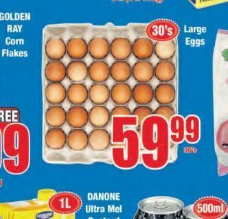 Boxer Eggs offer