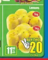 Boxer Lemons 2 offer