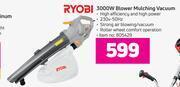 Game Ryobi 3000W Blower Mulching Vacuum offer