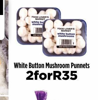 Mushrooms 2