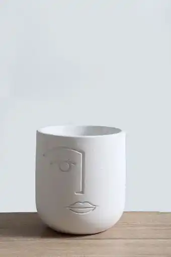 Sheet Street Large face planter offer