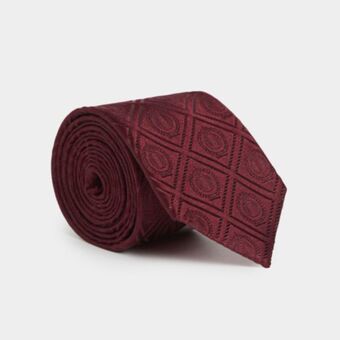 Fabiani Silk tie offer