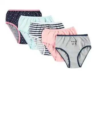 Happy days fuller coverage briefs 5 pack