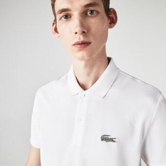 Men’s lacoste x national geographic regular fit organic cotton polo shirt