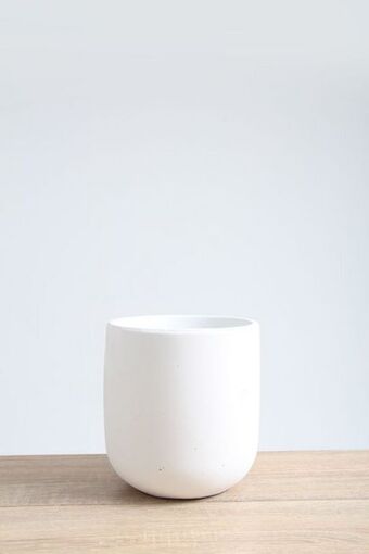 Sheet Street Decorative planter offer