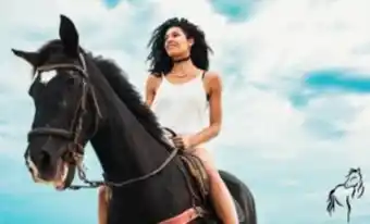 A scenic horse trail experience for 2