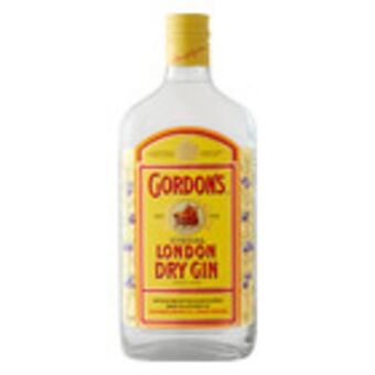 Pick n Pay Liquor Gordon's gin 750ml offer