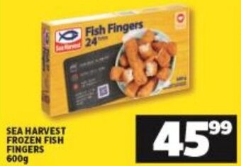 Shoprite Sea Harvest Frozen Fish Fingers 600g offer
