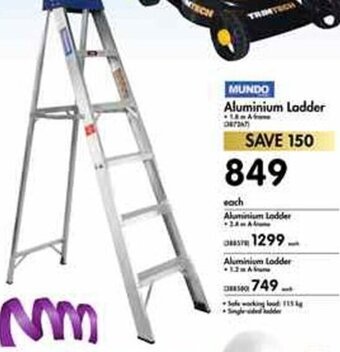 Mundo Aluminium Ladder