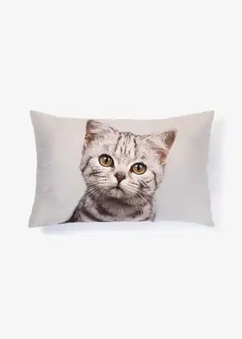 Cat scatter cushion 60x40cm
