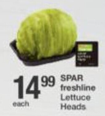 Spar Spar Freshline Lettuce Heads offer