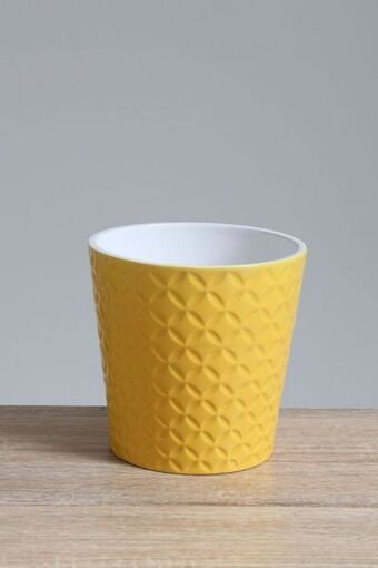 Sheet Street Decorative planter offer