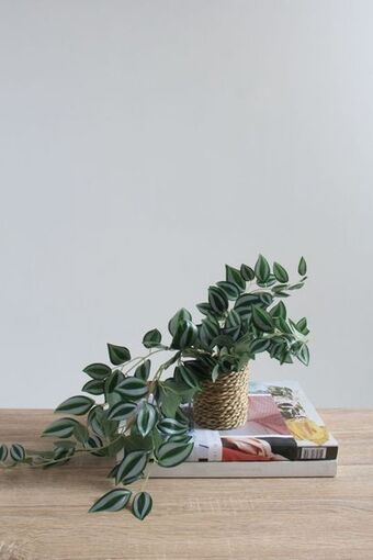 Sheet Street Potted trailing faux plant offer
