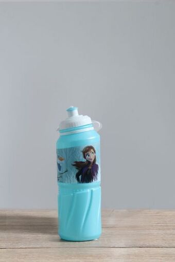 Frozen 2 sport bottle