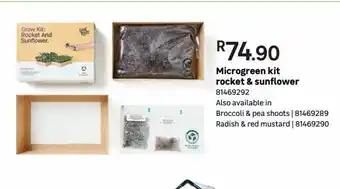 Microgreen kit rocket & sunflower