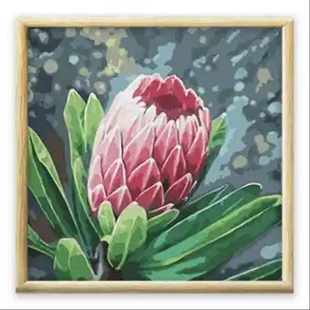 OneDayOnly South african themed painting by numbers offer