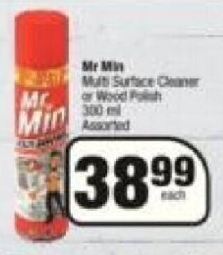 Mr. Min Multi Surface Cleaner or Wood Polish 300 ml Assorted
