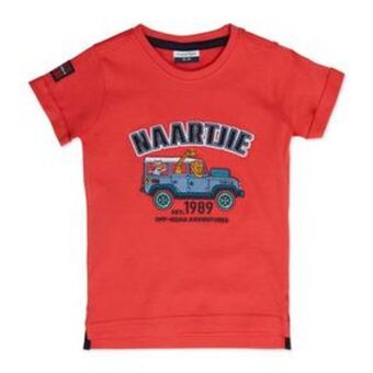 Baby boy graphic tee