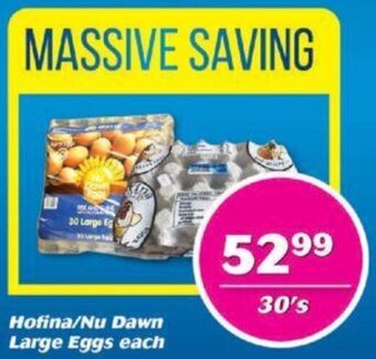 Hofina / Nu Dawn Large Eggs 30's