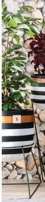 Builders Warehouse Large Golden Zebra Pot-400mm x 400mm offer