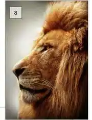 Builders Warehouse Design House Mighty Lion Canvas Brown-650mm x 450mm offer