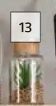 Builders Warehouse H21 Green Succulent Assorted offer