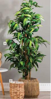 Builders Warehouse Artificial Bamboo Tree offer