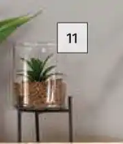 Builders Warehouse Green Succulent Pot Assorted offer